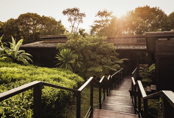 Nyungwe - Rwanda