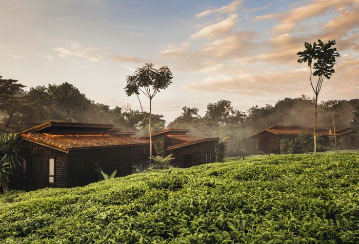 Nyungwe - Rwanda