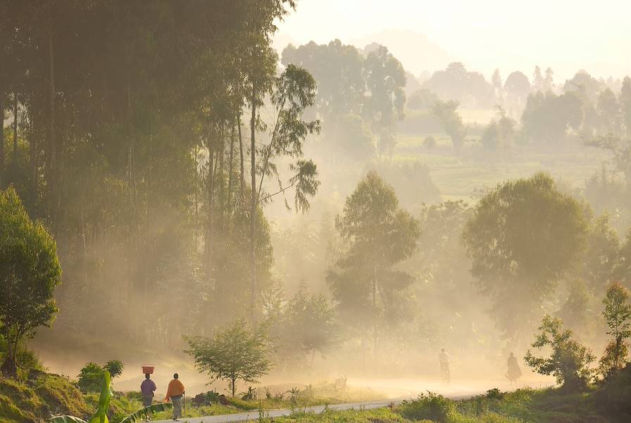 Nyungwe - Rwanda
