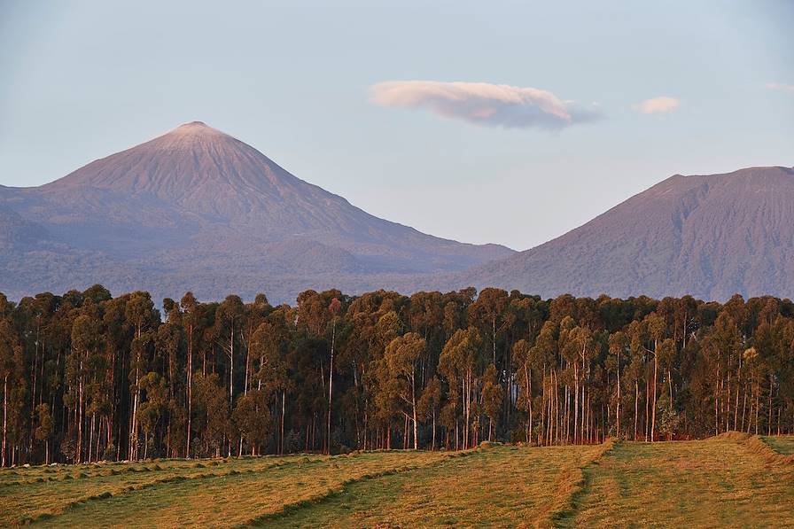 Parc National des Volcans - Rwanda