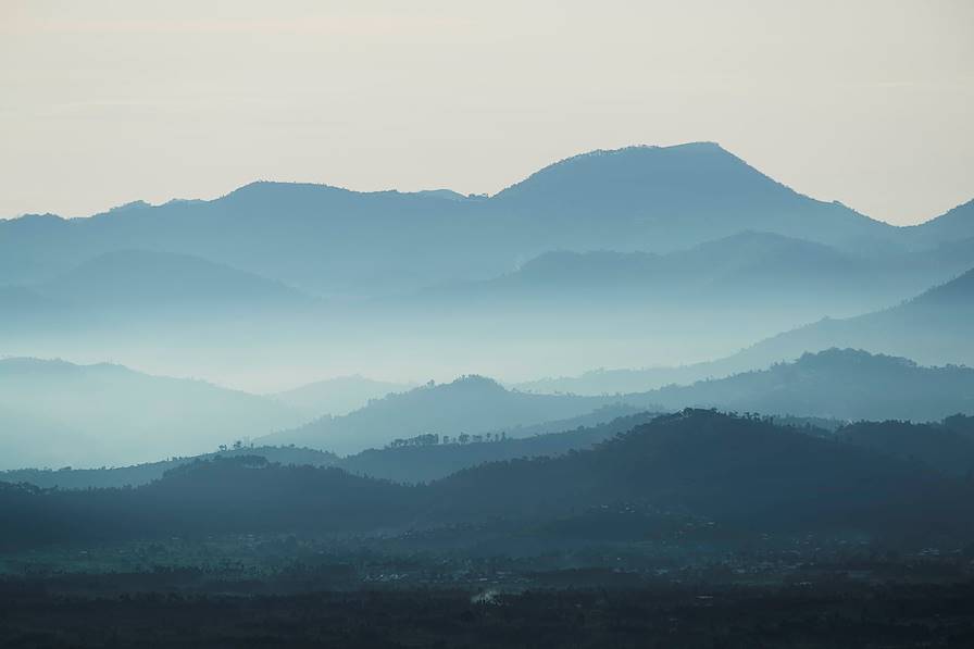Parc National des Volcans - Rwanda