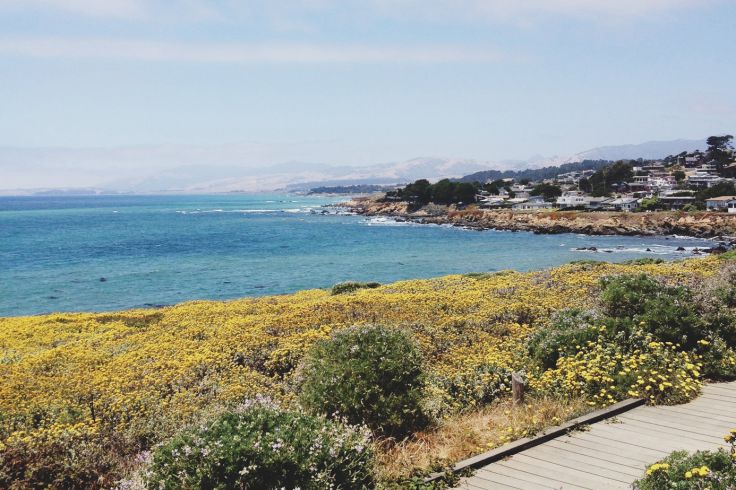 Cambria - California - Etats-Unis