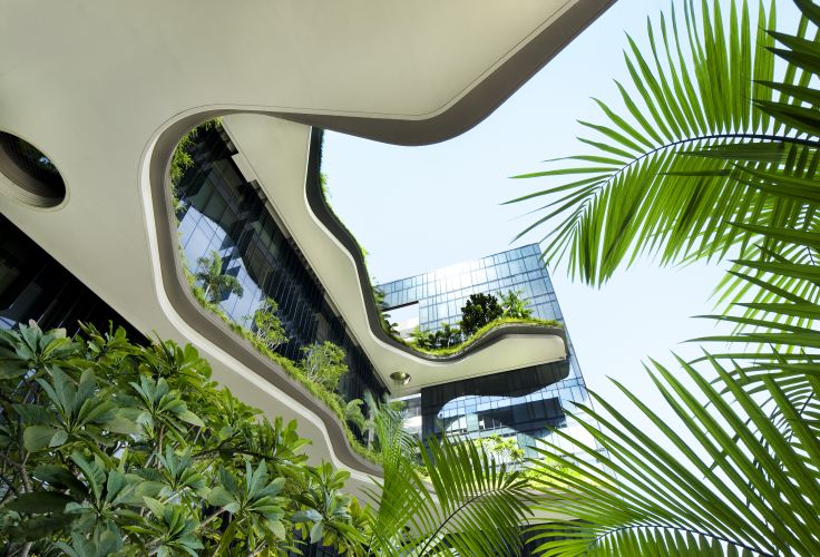 Singapour