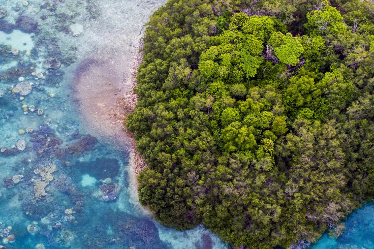 Bawah Reserve - Indonesie