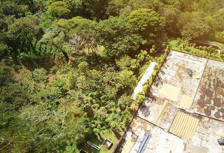 Plantation de café - Sao Tomé