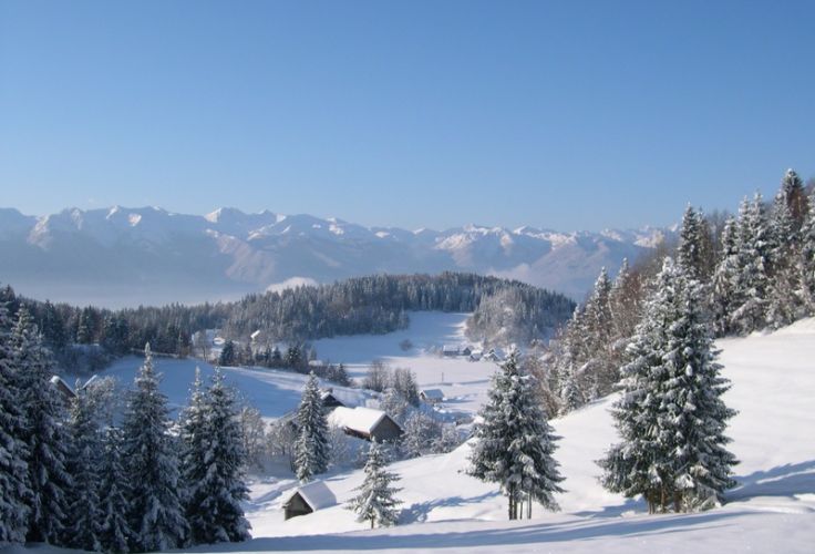 Bohinj - Haute Carniole - Slovénie