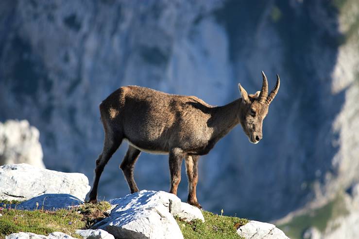 Parc National du Triglav - Slovénie