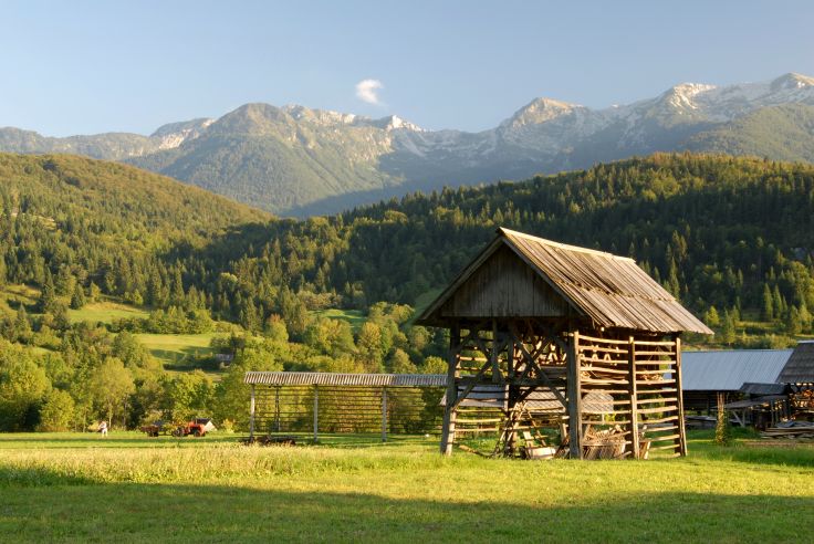 Bohinj - Slovénie