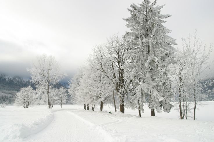 Bled - Slovénie