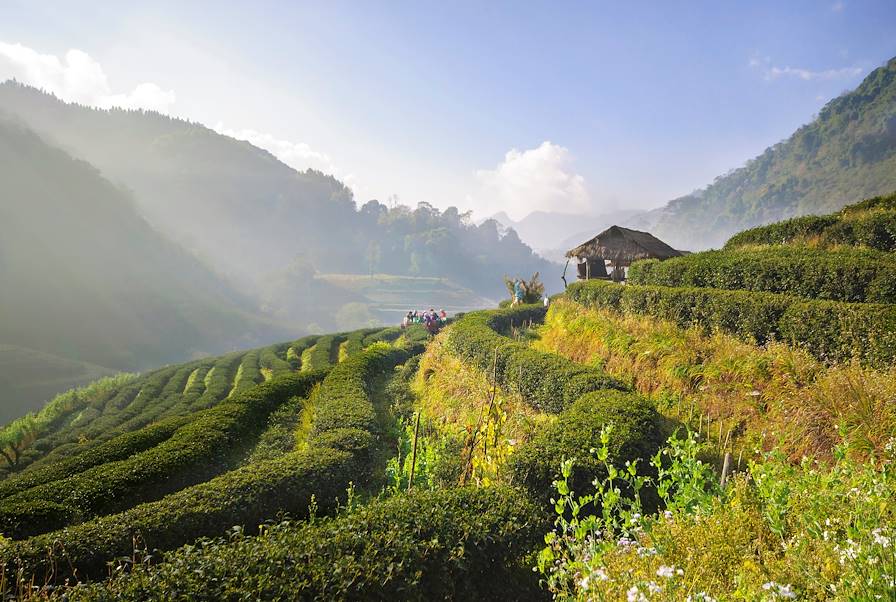 Doi Ang Khang - Province de Chiang Mai - Doi Ang Khang
