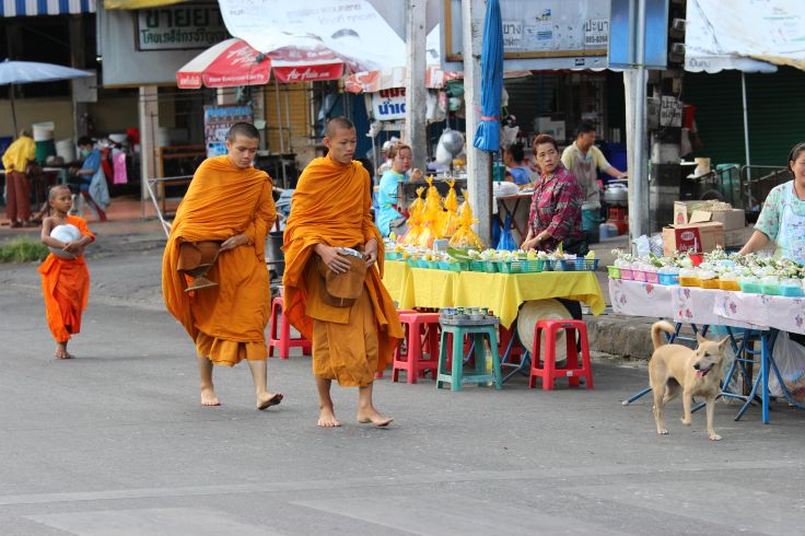 Cérémonie du Tak Bat au marché de Tom Payon - Chiang Mai - Thaïlande