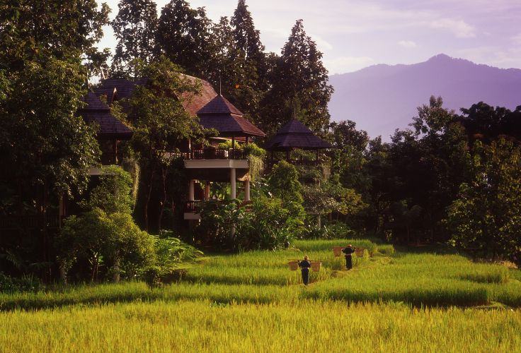 Chiang Mai - Thaïlande