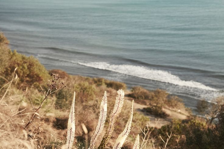 Sidi Bou Said - Tunisie