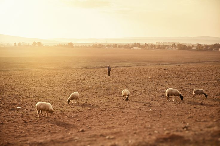 Tunisie