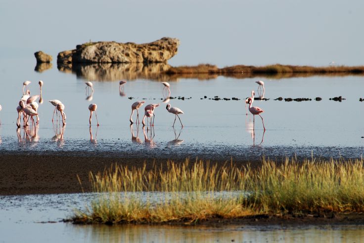 Lac Natron - Tanzanie