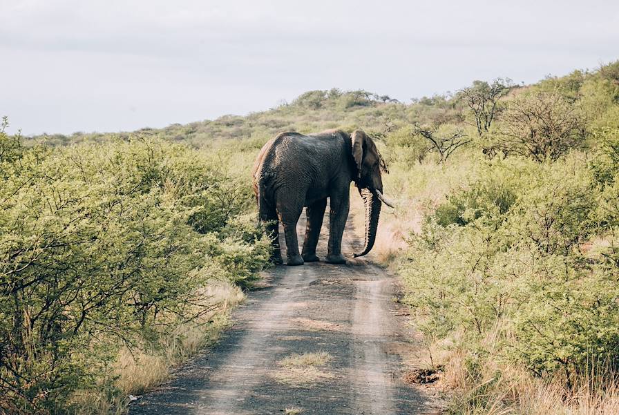 Voyages itinérants Arusha - Tarangire - Ngorongoro - Olduvai - Serengeti