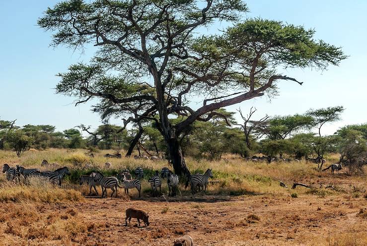 Tanzanie