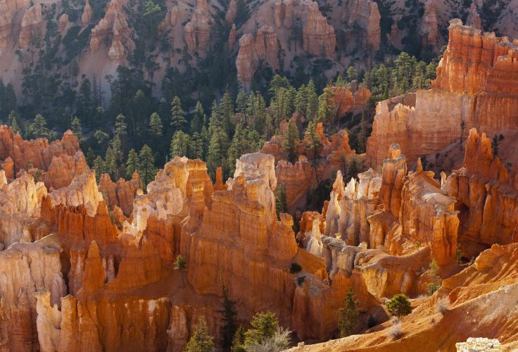 Bryce Canyon - Utah - Etats-Unis