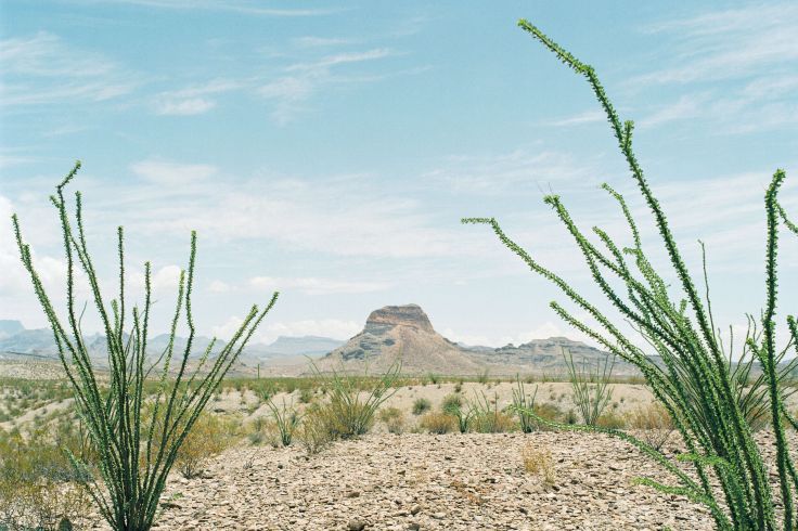 Parc national Big Bend - Texas - Etats-Unis