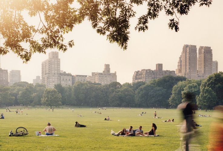 Central Park - Manhattan - New York - Etats-Unis