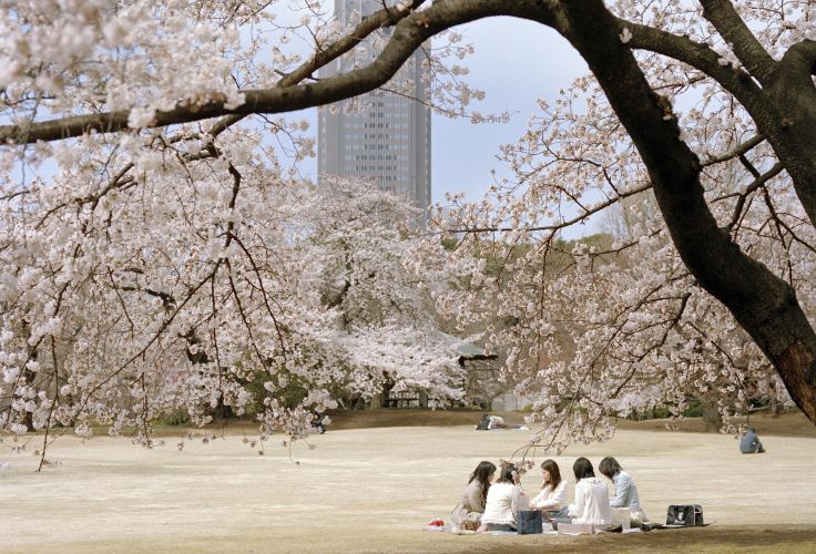 Tokyo - Japon