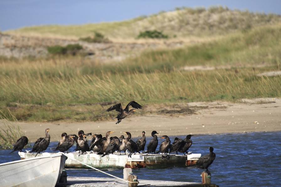 Cape Cod - Massachusetts - Etats-Unis