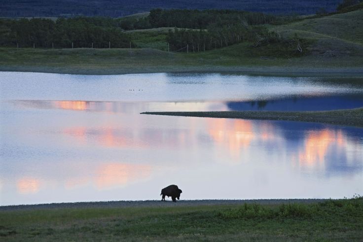 Parc national des Lacs-Waterton - Alberta - Canada