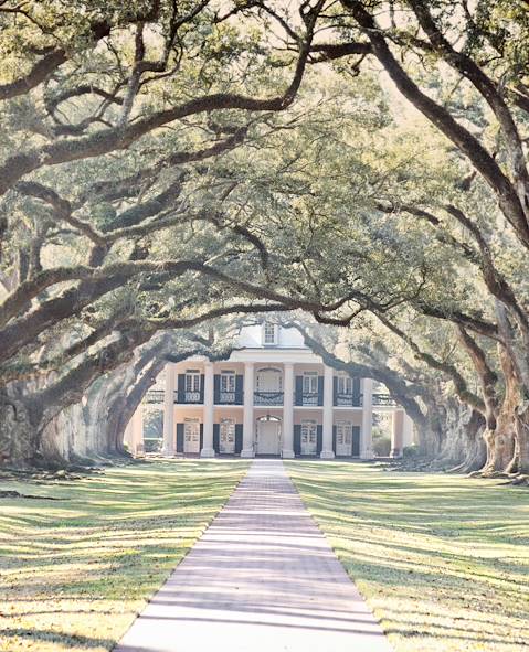 Plantation d'Oak Alley - Louisiane - Etats-Unis © Olivier Metzger