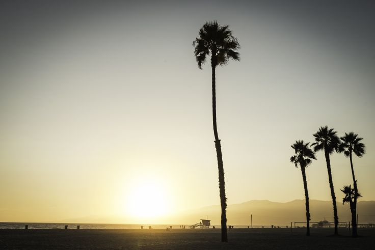 Venice Beach - Los Angeles - Californie - Etats-Unis