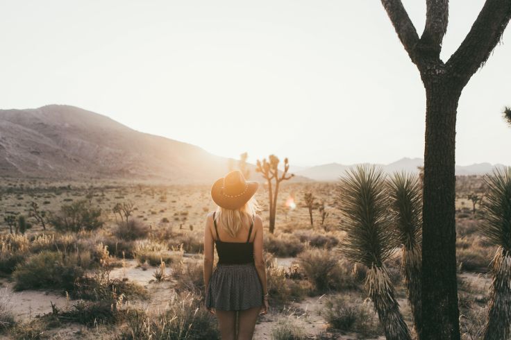 Joshua Tree - Etats-Unis