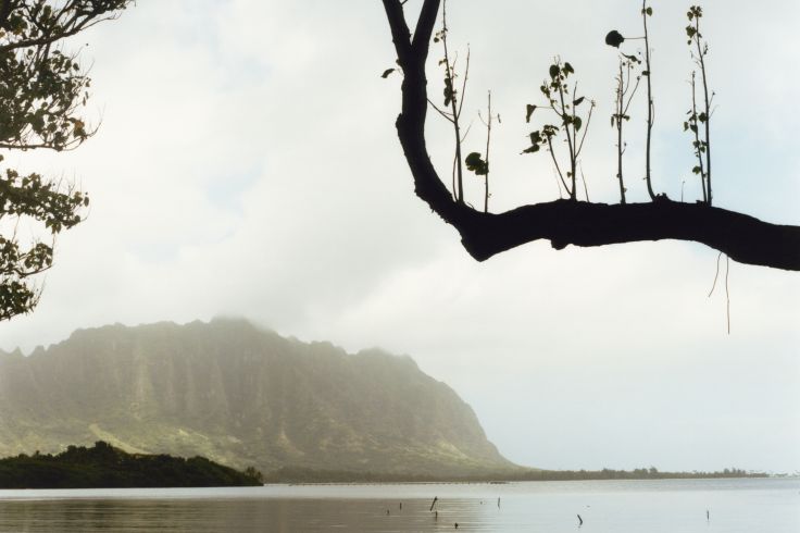 Oahu - Hawaï - Etats-Unis