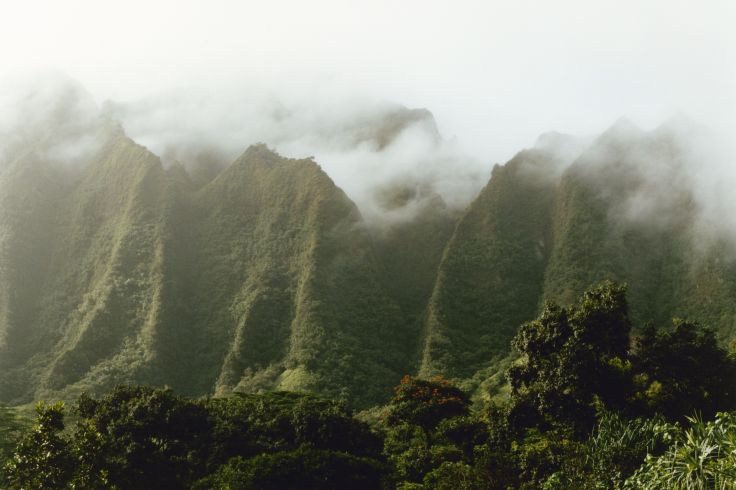 Oahu - Hawaï - Etats-Unis