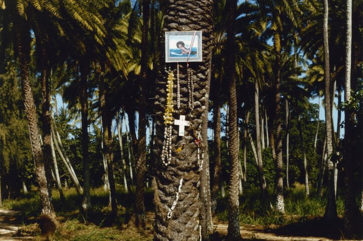 Oahu - Hawaï - Etats-Unis