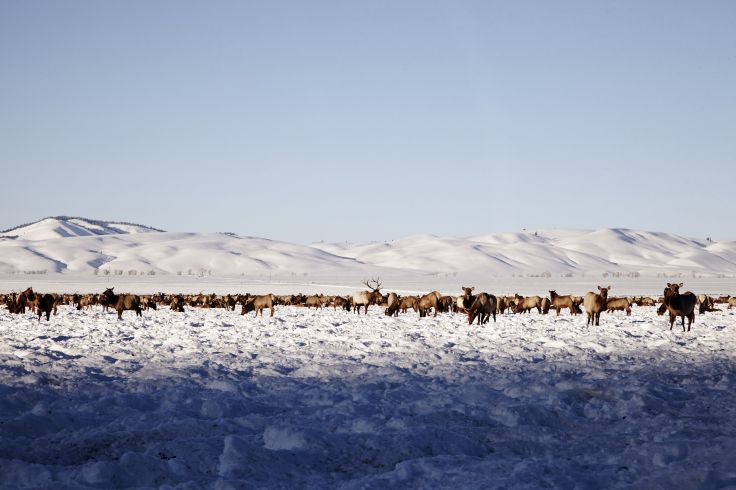 Wyoming - Etats-Unis