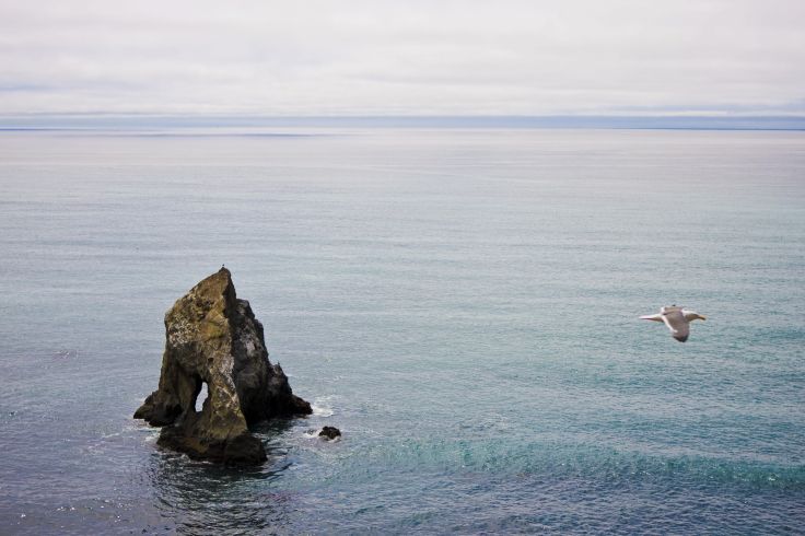 Mendocino - Californie - Etats-Unis