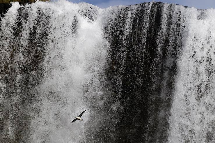 Skógafoss - Islande