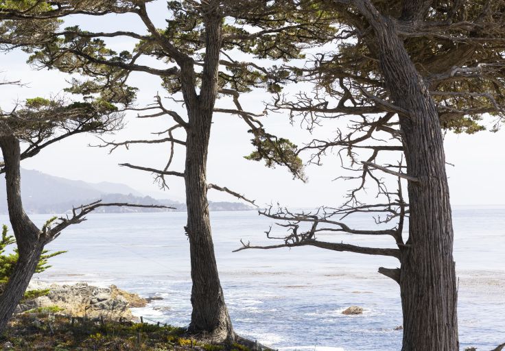 Route 1 - Californie - Etats-Unis