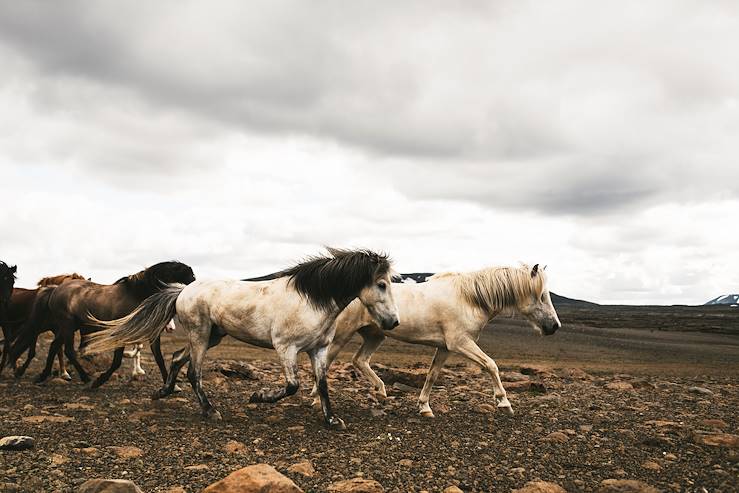 Islande