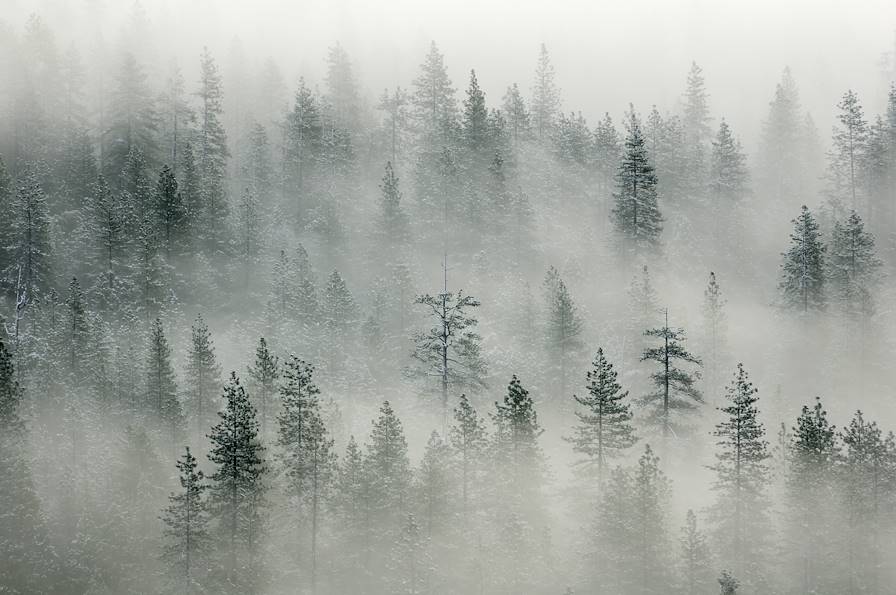 Parc National Yosemite - Etats-Unis