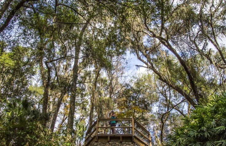 Rainbow Springs - Floride - Etats-Unis