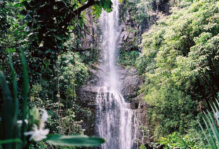 Maui - Hawaï - Etats-Unis