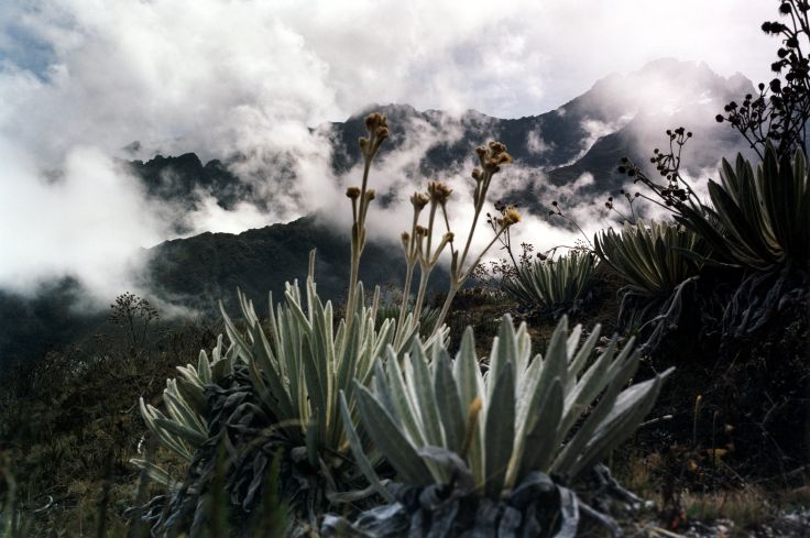 Paysage de Montagnes - Vénézuela