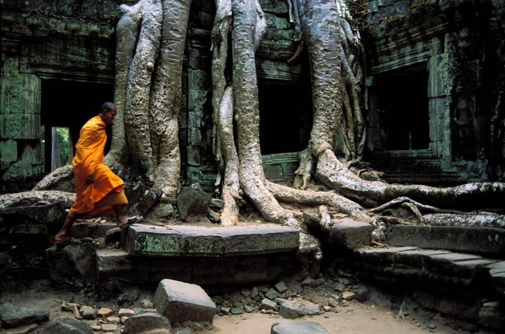 Ta Prohm - Angkor - Cambodge