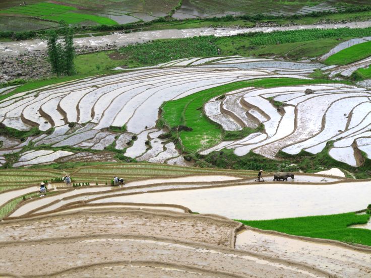 Sapa - Vietnam