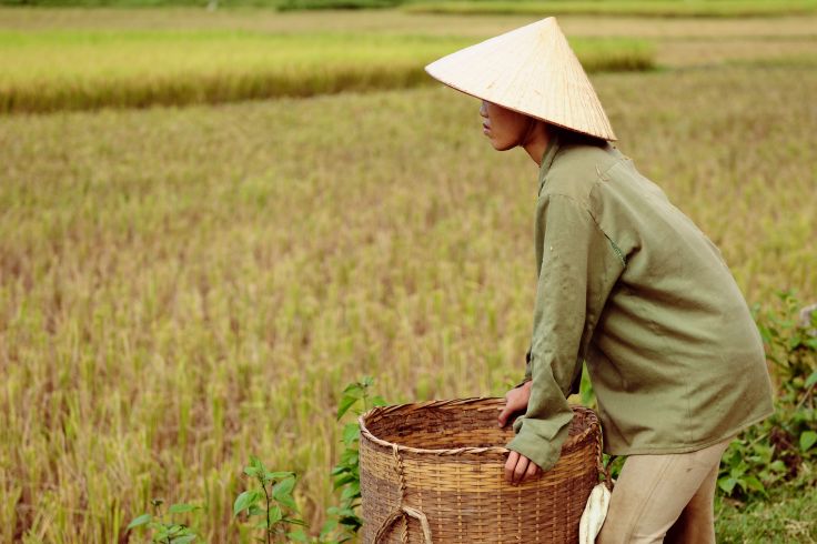 Province de Lai Chau - Vietnam
