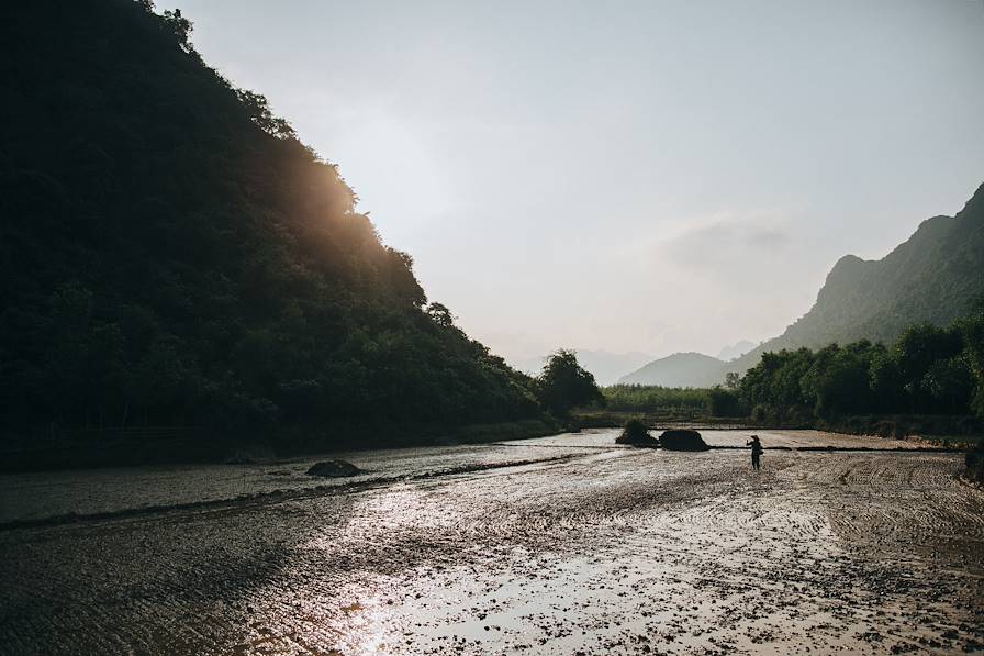 Vietnam