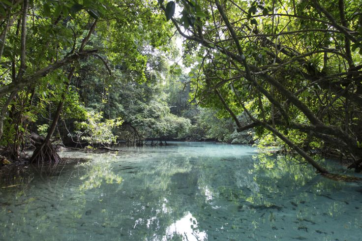Trou Tleu - Espiritu Santo - Vanuatu
