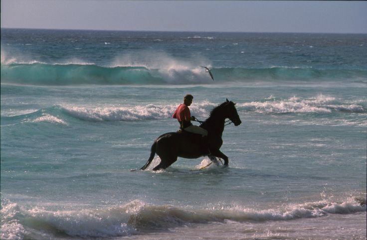 Plage de Noordhoek - Le Cap - Afrique du Sud