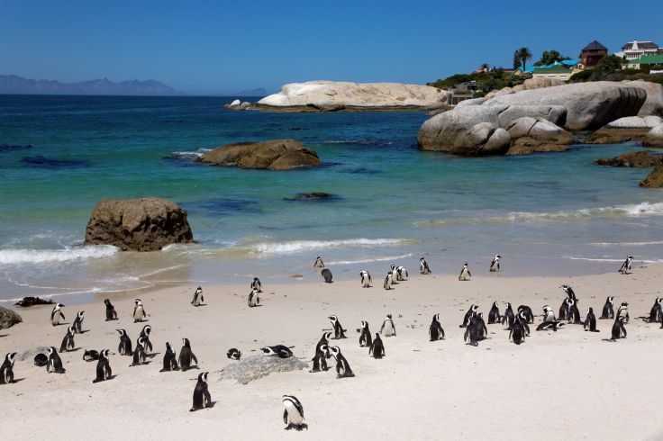 Le Cap - Afrique du Sud