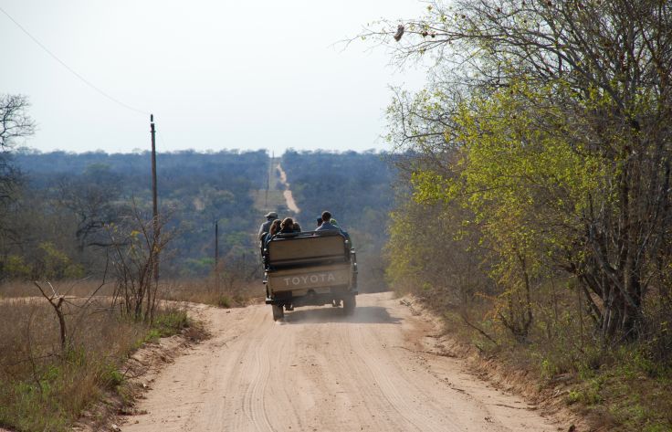 Réserve de Sabi Sand - Mpumalanga - Afrique du Sud